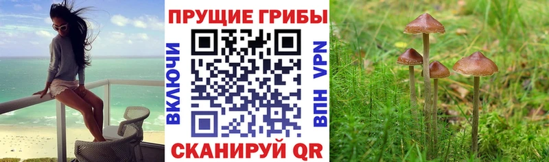 Галлюциногенные грибы Magic Shrooms  MEGA рабочий сайт  Тимашёвск  хочу  
